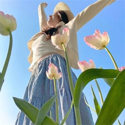七仙女外传